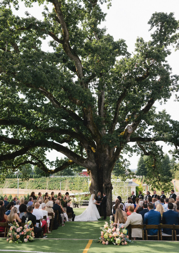 A wedding ceremony under a tree